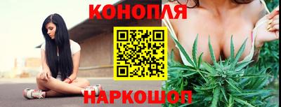 шишки Донецк